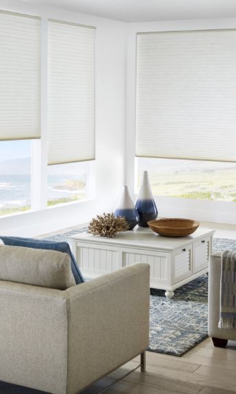 Living room with cellular shades providing elegant and efficient window coverage.